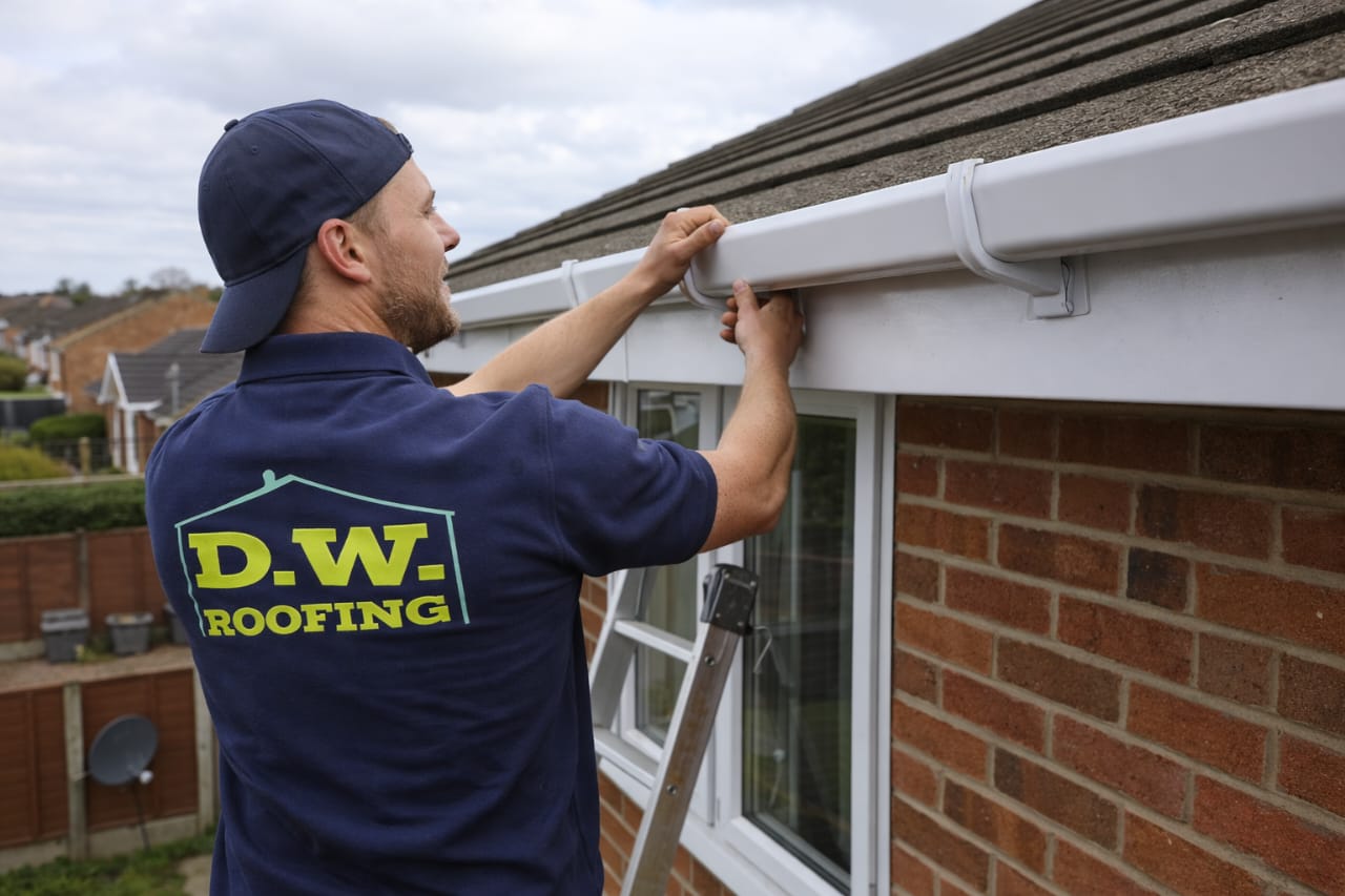 WhatsApp Image 2026-02-20 at 04.15.25 (1)